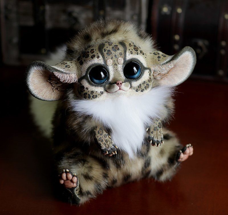 Inari Fox: Oncilla