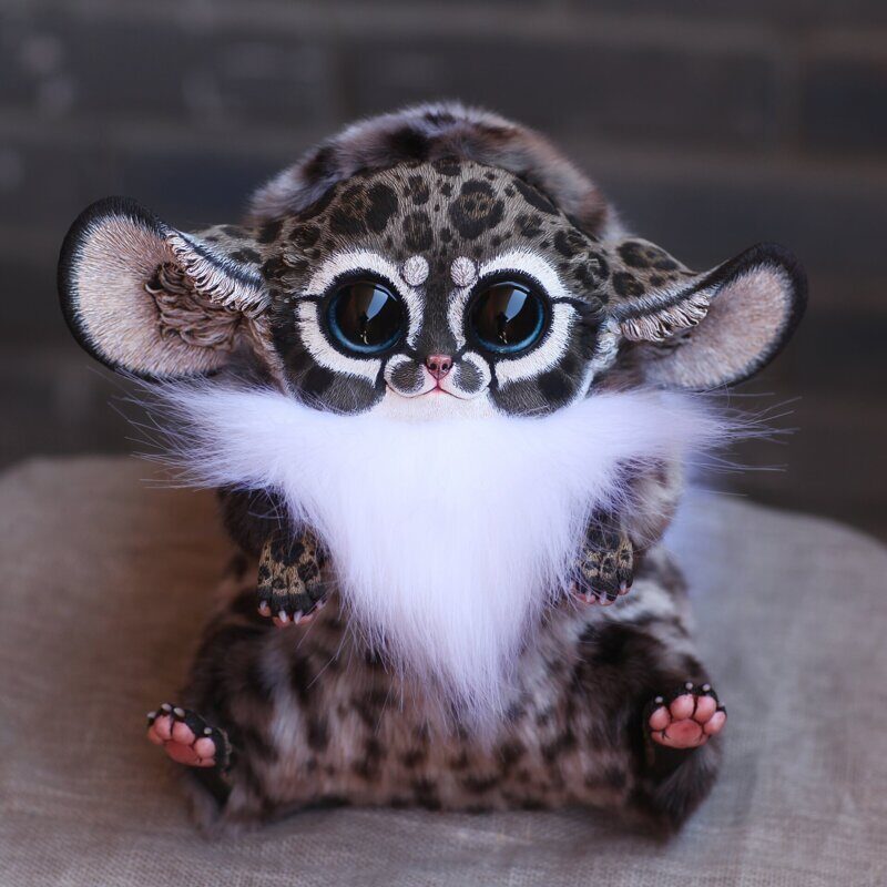 Inari Fox: Jungle cat