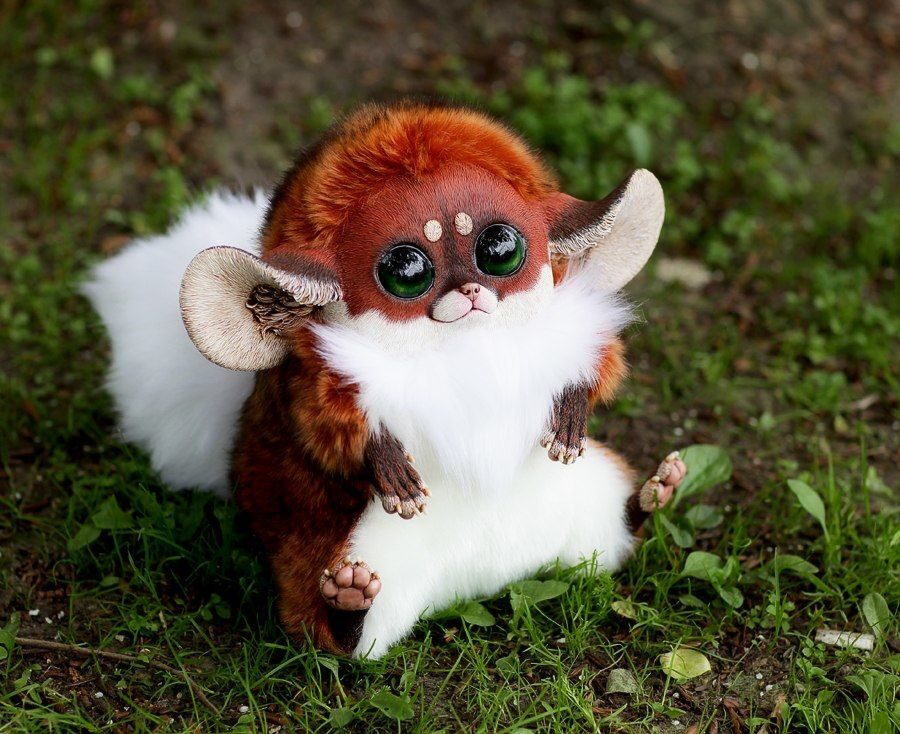 Inari Fox: Red