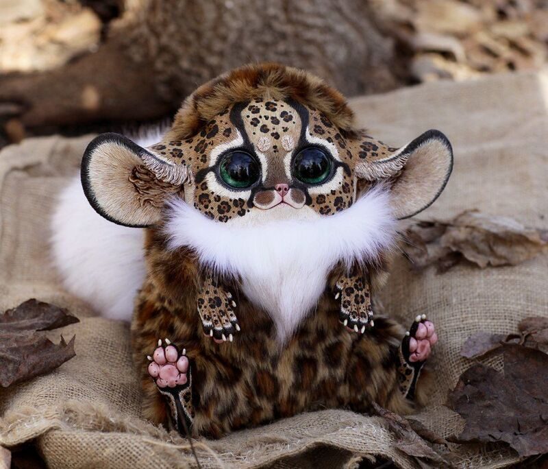 Inari Fox: Leopard