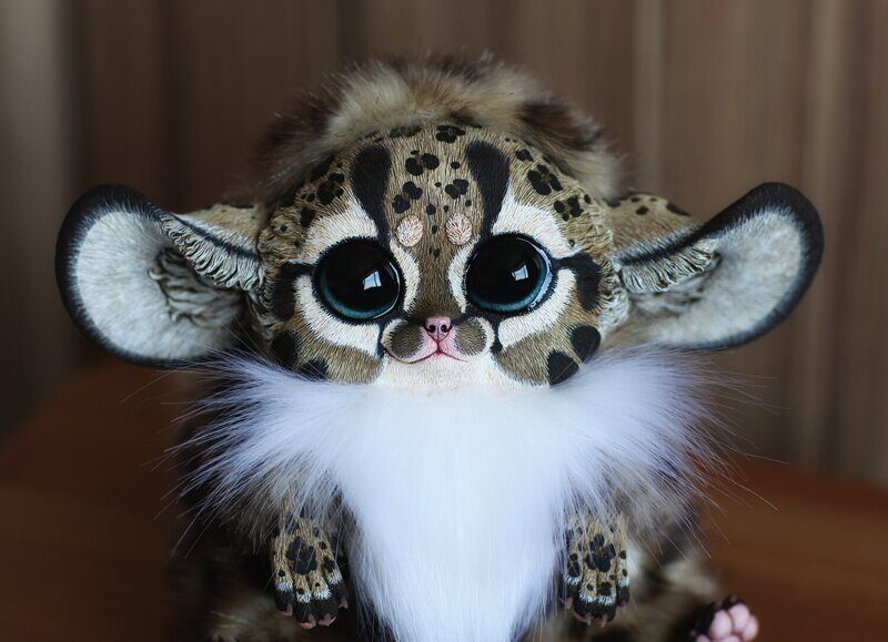 Inari Fox: Oncilla