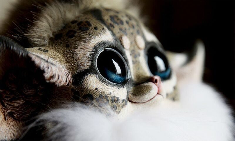 Inari Fox: Oncilla