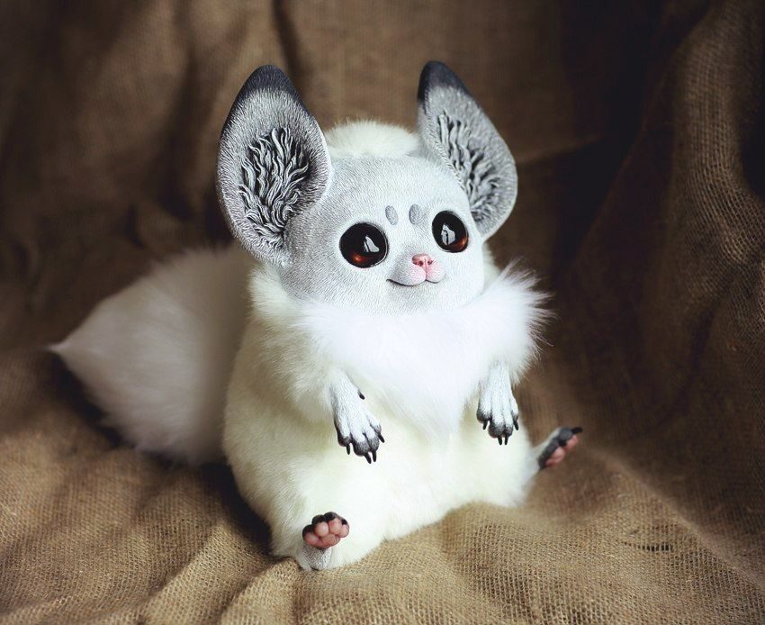 Inari Fox: Platina