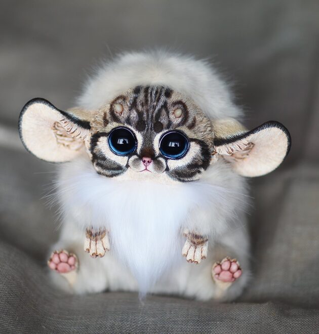 Inari Fox