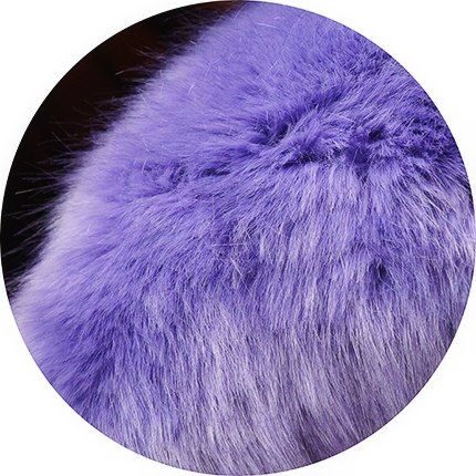 Purple-blue polar fox