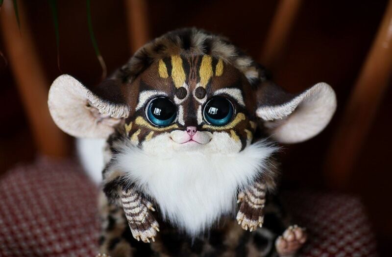 Inari Fox: Wild